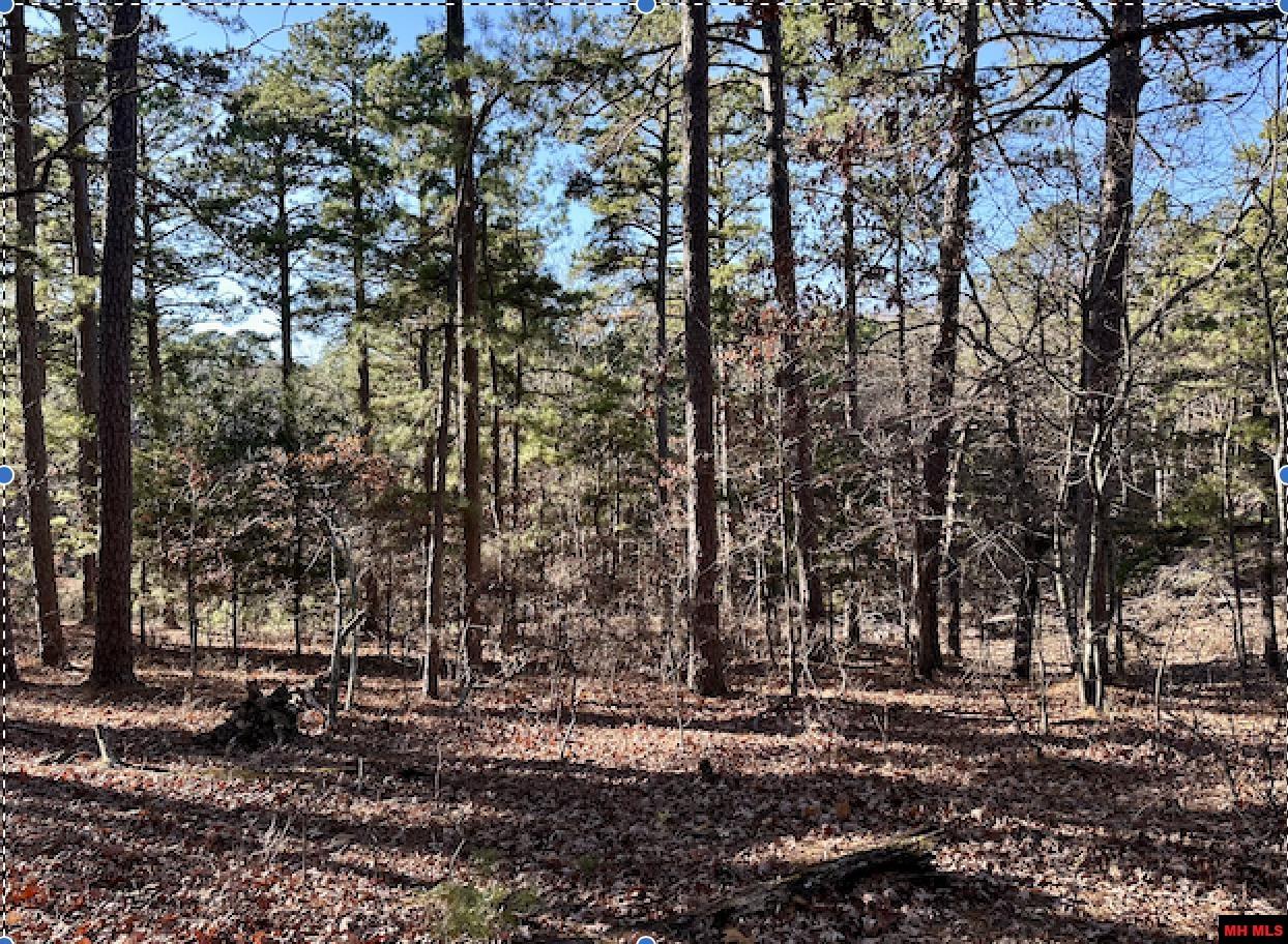 Lot 40 SWISS ALPS LANE Mountain Home, AR