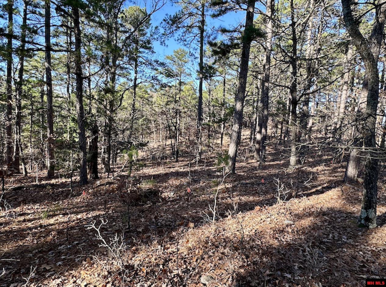 Lot 40 SWISS ALPS LANE Mountain Home, AR