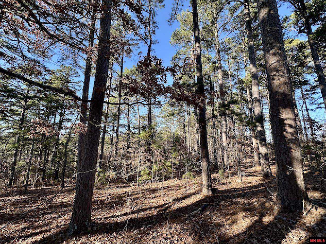 Lot 40 SWISS ALPS LANE Mountain Home, AR