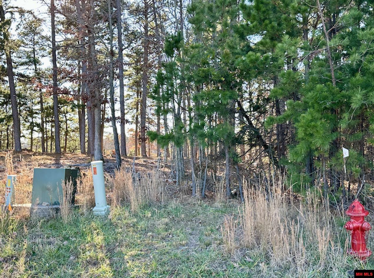 Lot 40 SWISS ALPS LANE Mountain Home, AR