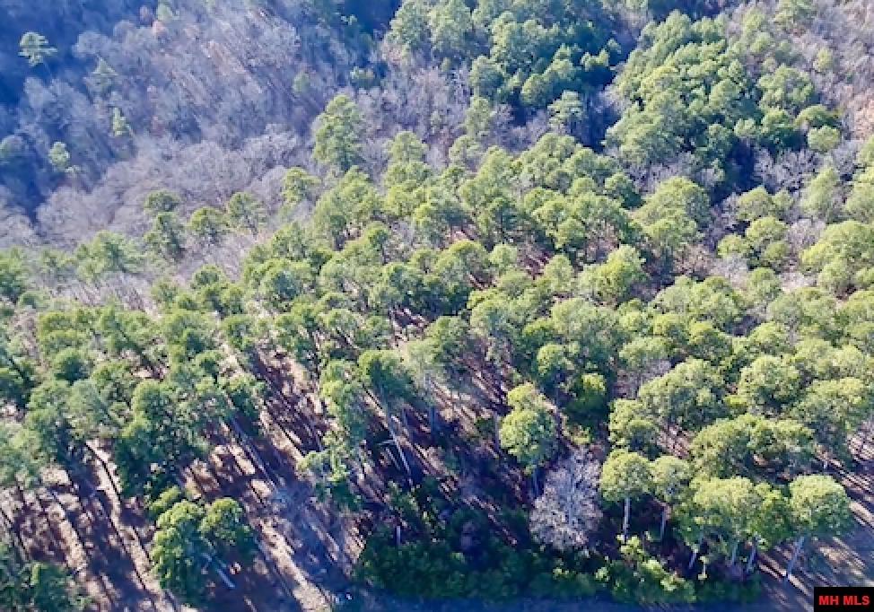 Lot 40 SWISS ALPS LANE Mountain Home, AR