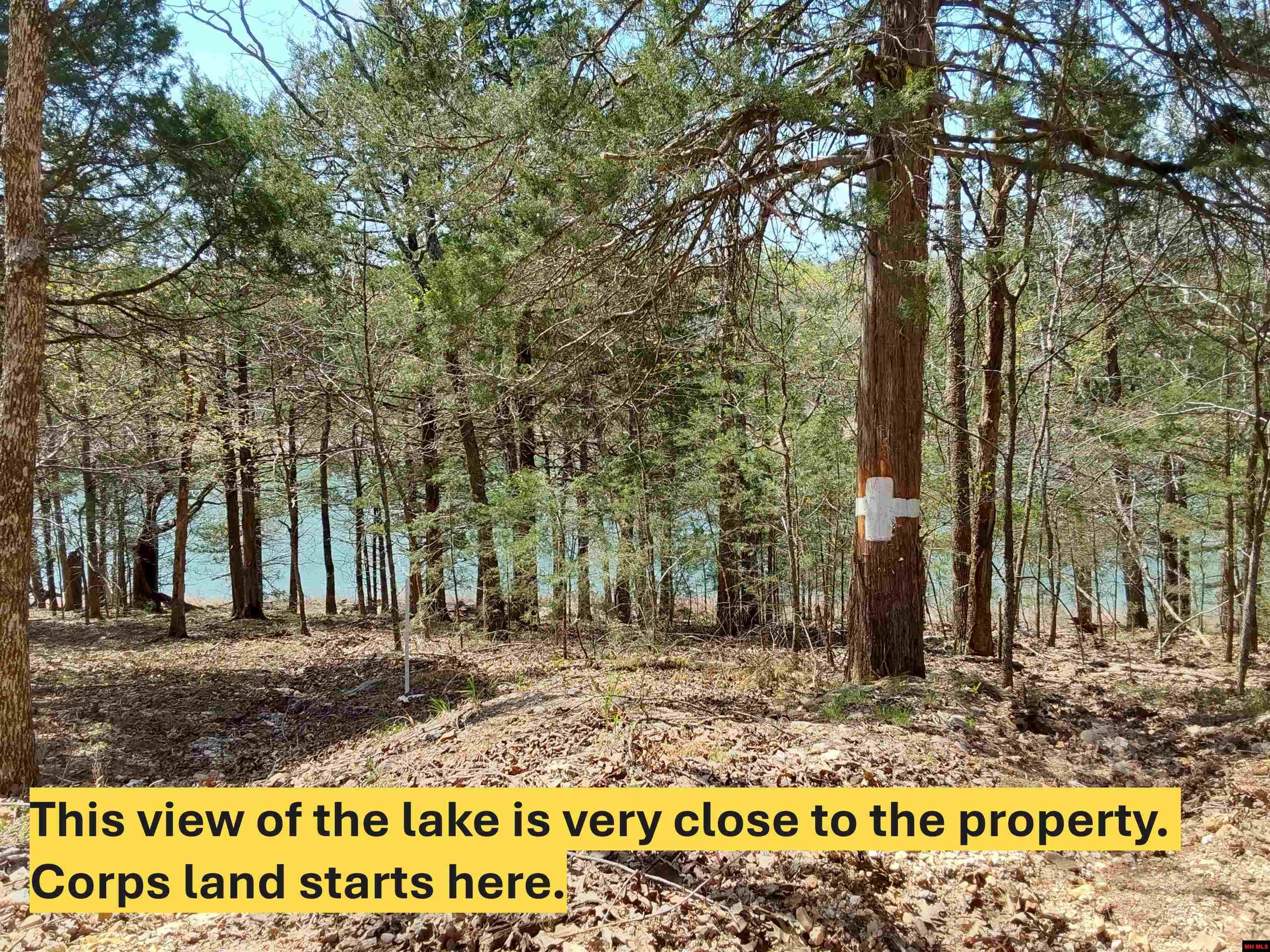 Lot 1-4 MC 131 Oakland, AR