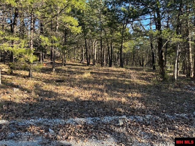 Lot 1-4 MC 131 Oakland, AR
