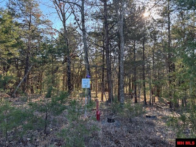 Lot 1-4 MC 131 Oakland, AR