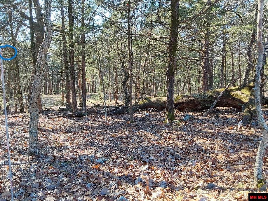 Lot 1-4 MC 131 Oakland, AR