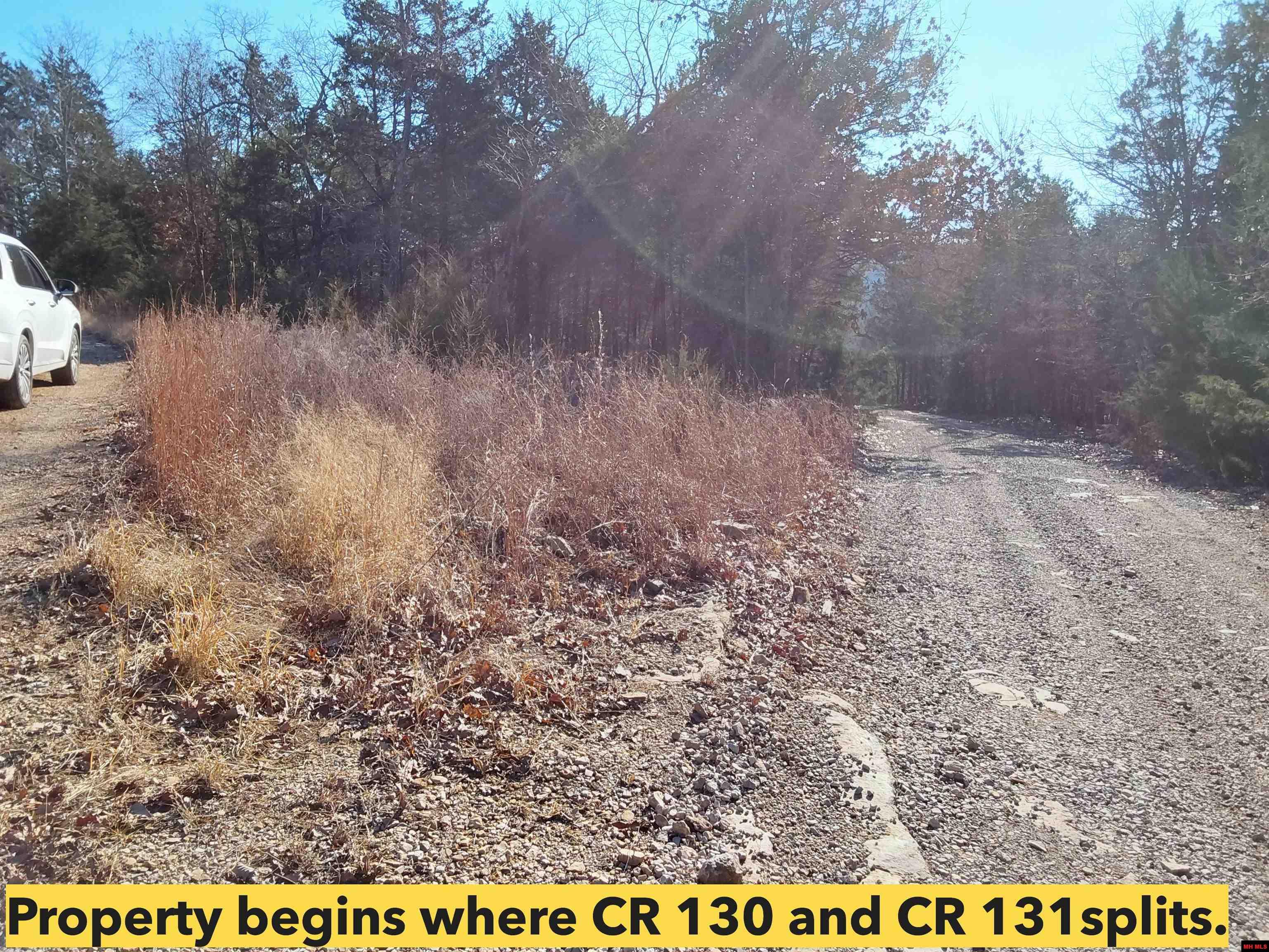 Lot 1-4 MC 131 Oakland, AR