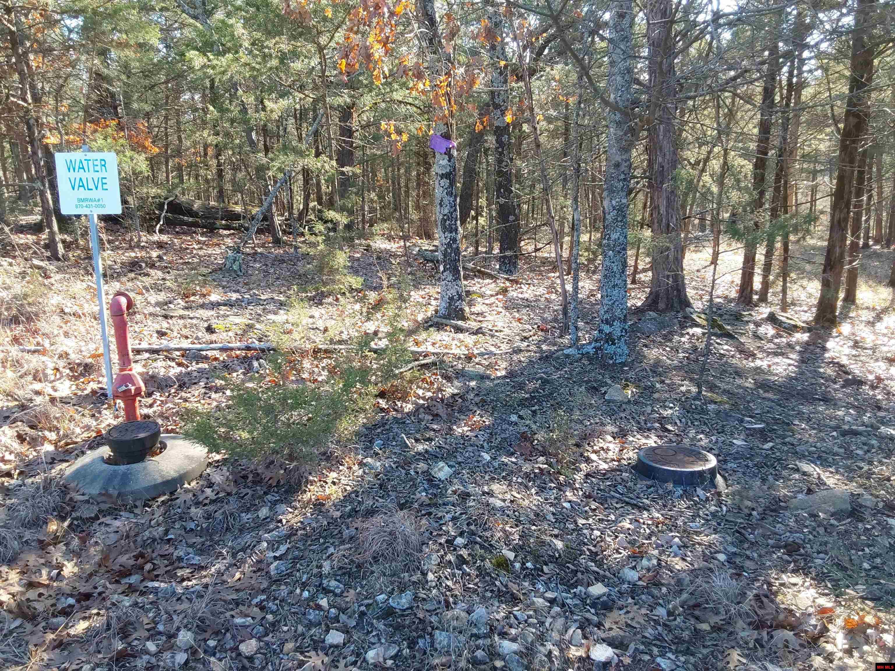 Lot 1-4 MC 131 Oakland, AR