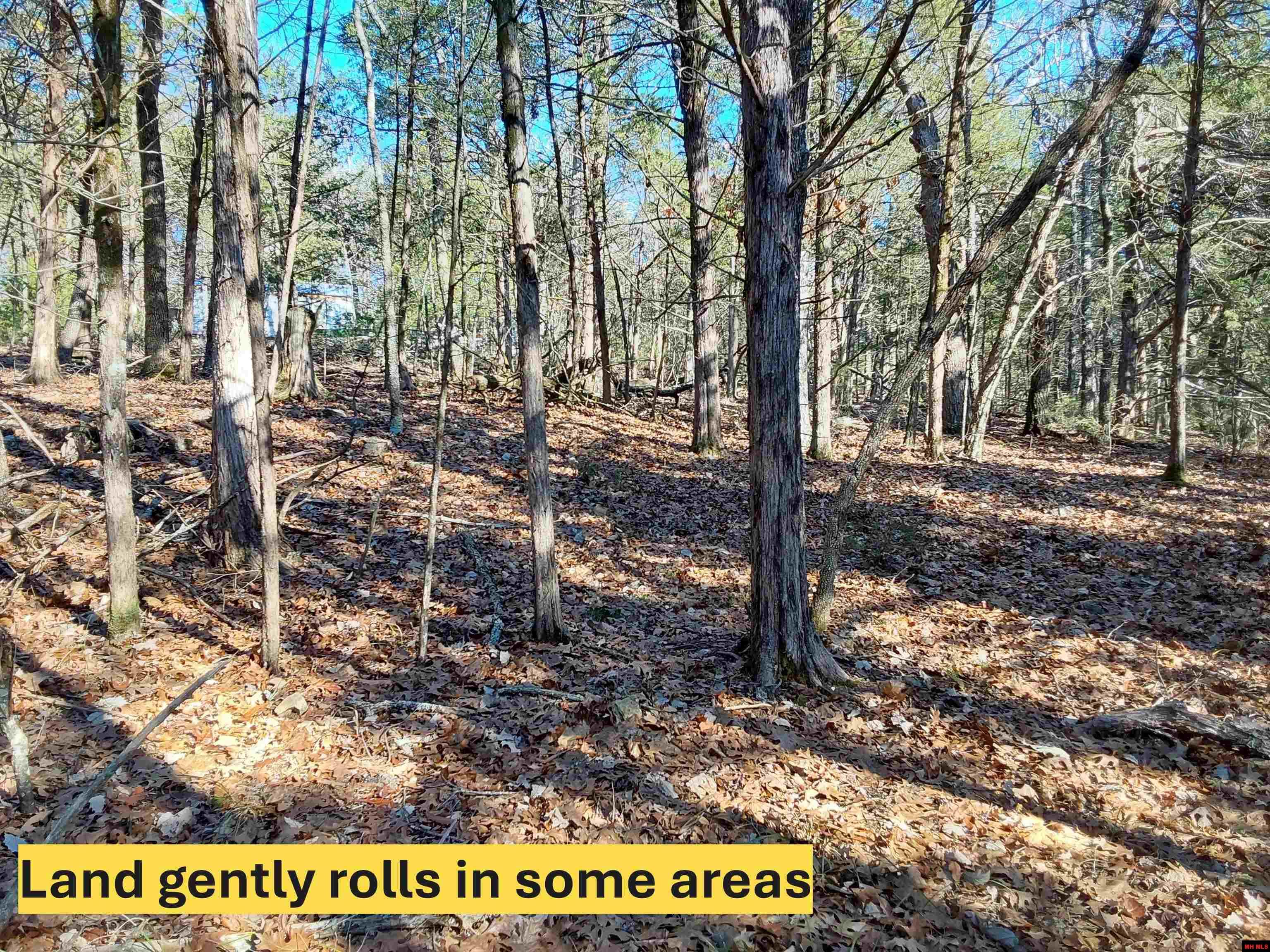 Lot 1-4 MC 131 Oakland, AR