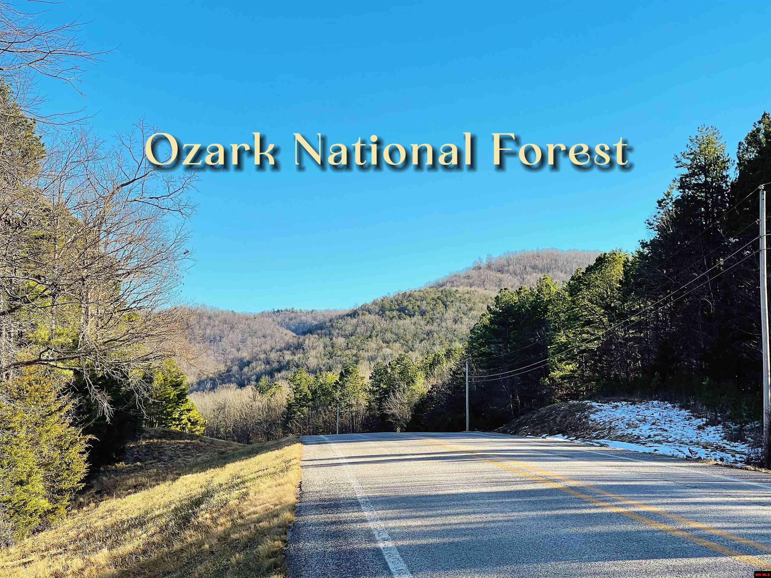 7755 PUSH MOUNTAIN ROAD Norfork, AR 72658