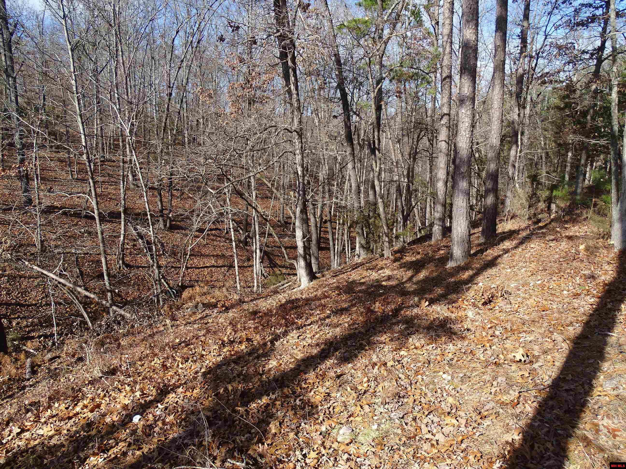 1071 & 1163 FEE HOLLOW TERRACE Yellville, AR 72687