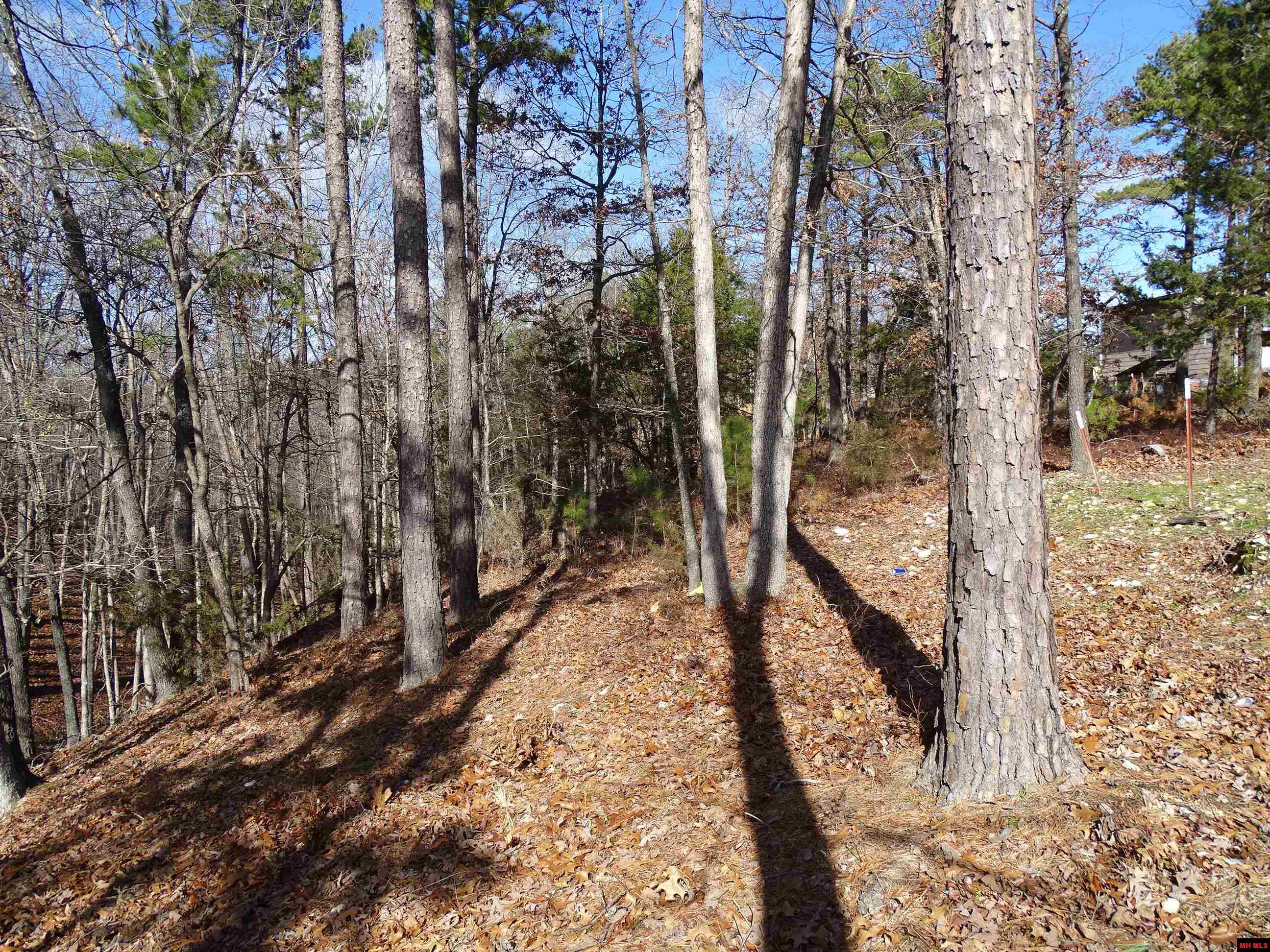 1071 & 1163 FEE HOLLOW TERRACE Yellville, AR 72687