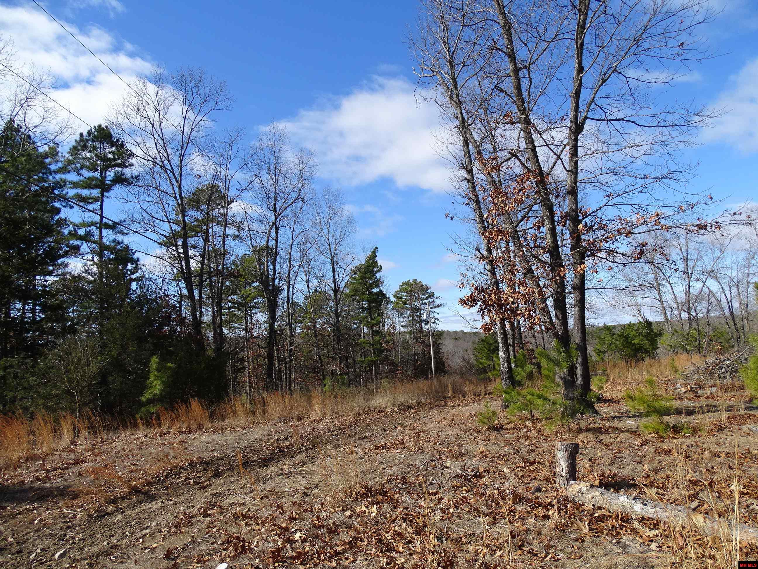 1071 & 1163 FEE HOLLOW TERRACE Yellville, AR 72687