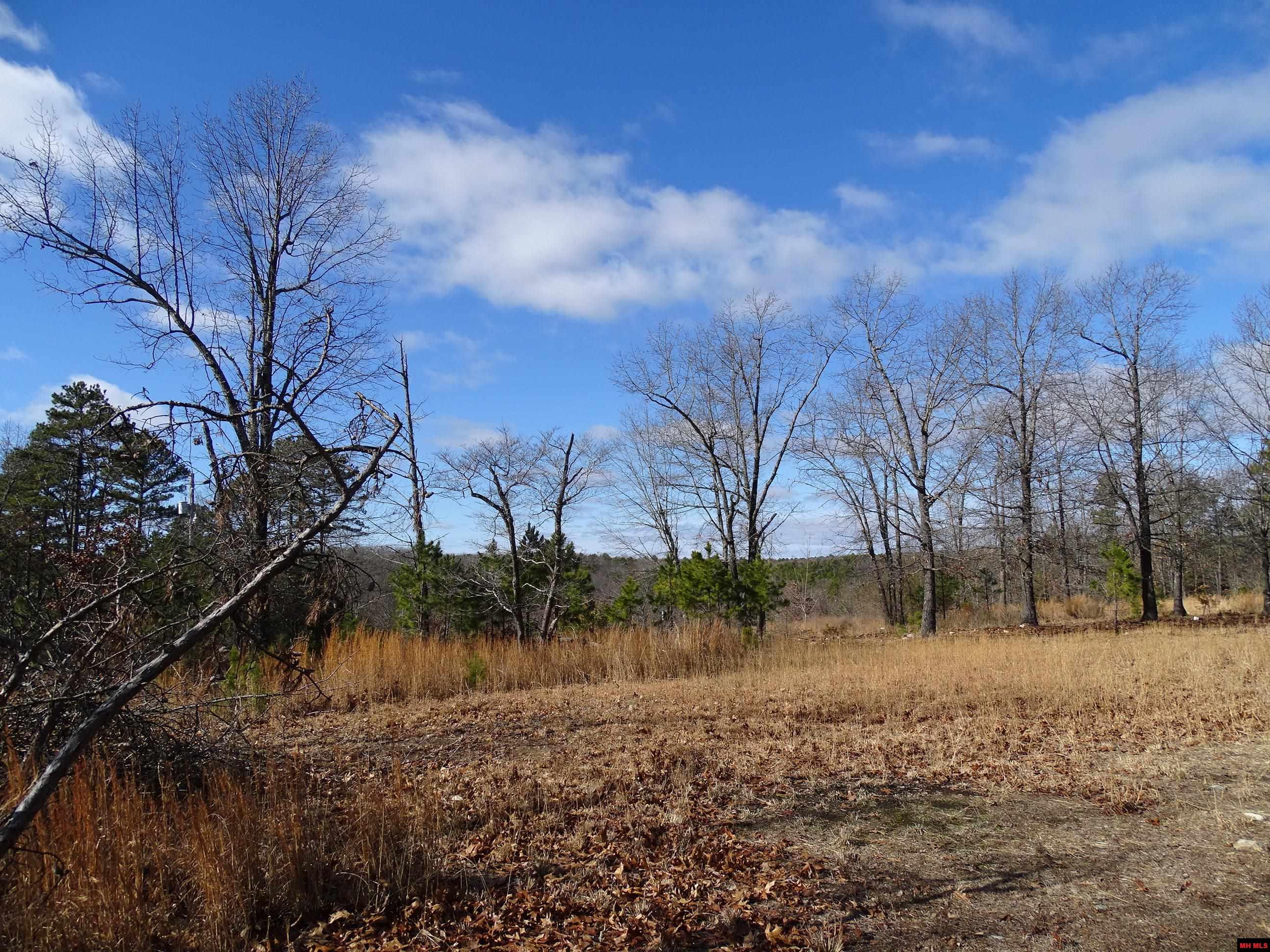 1071 & 1163 FEE HOLLOW TERRACE Yellville, AR 72687