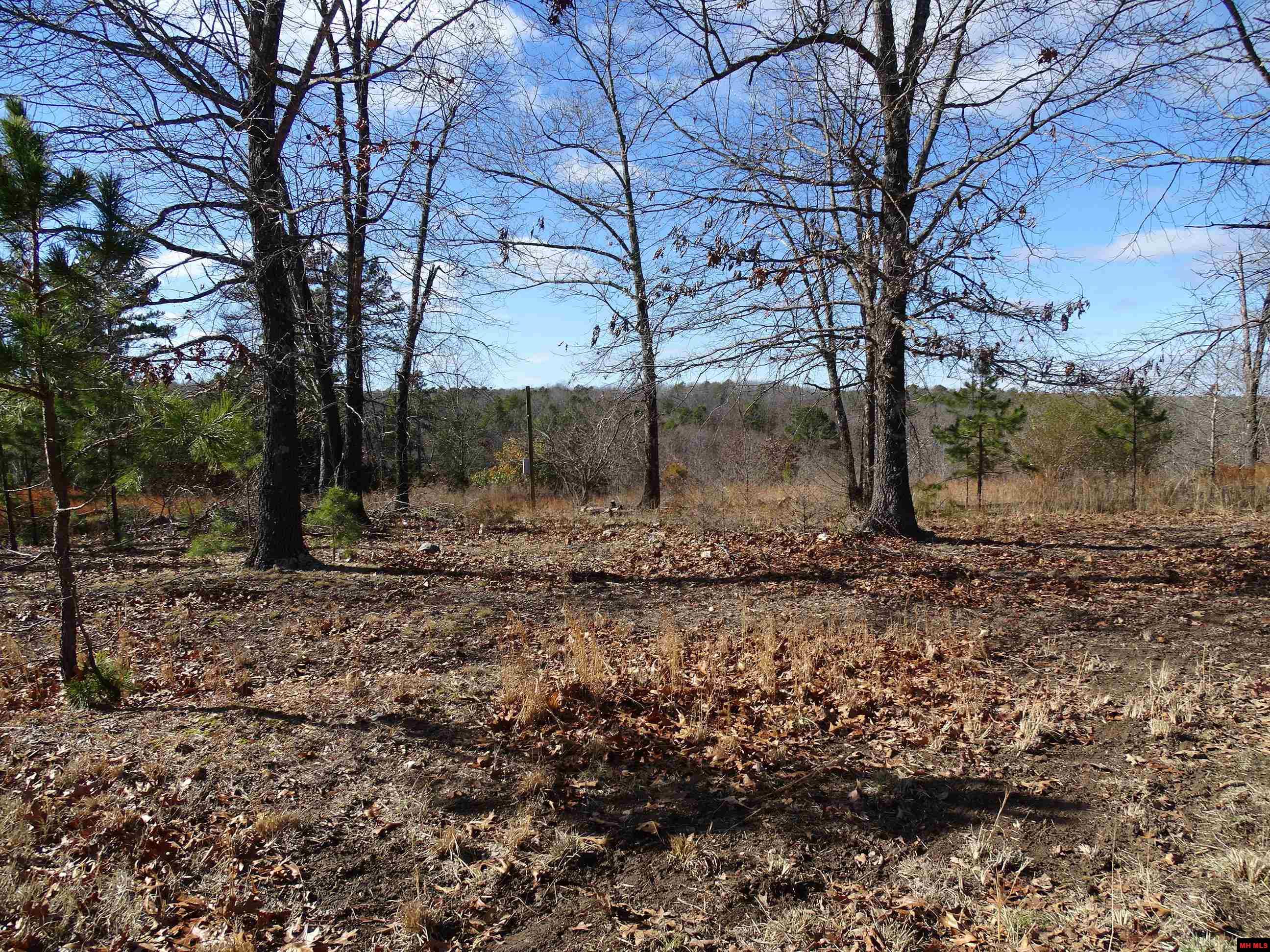 1071 & 1163 FEE HOLLOW TERRACE Yellville, AR 72687