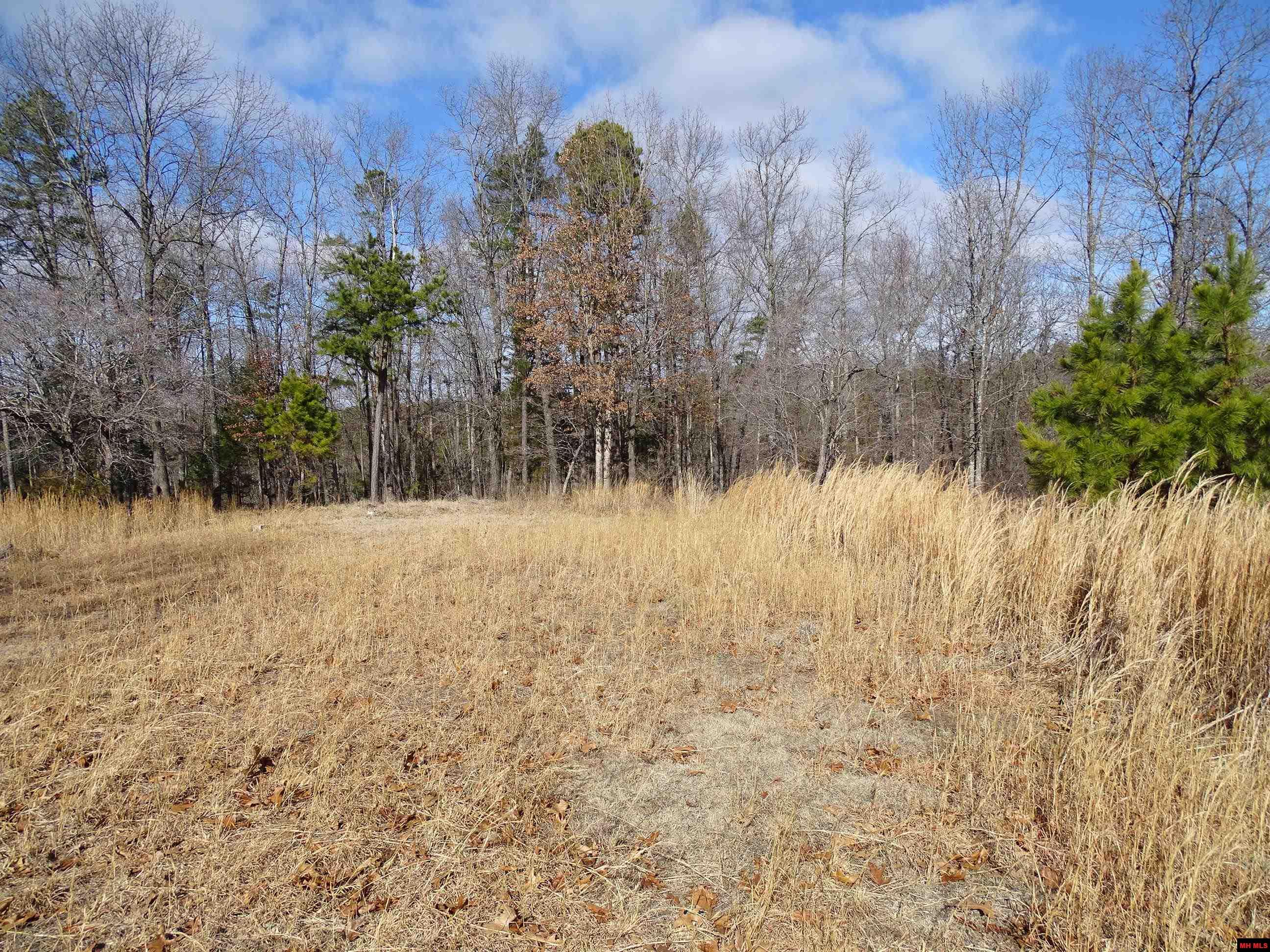 1071 & 1163 FEE HOLLOW TERRACE Yellville, AR 72687