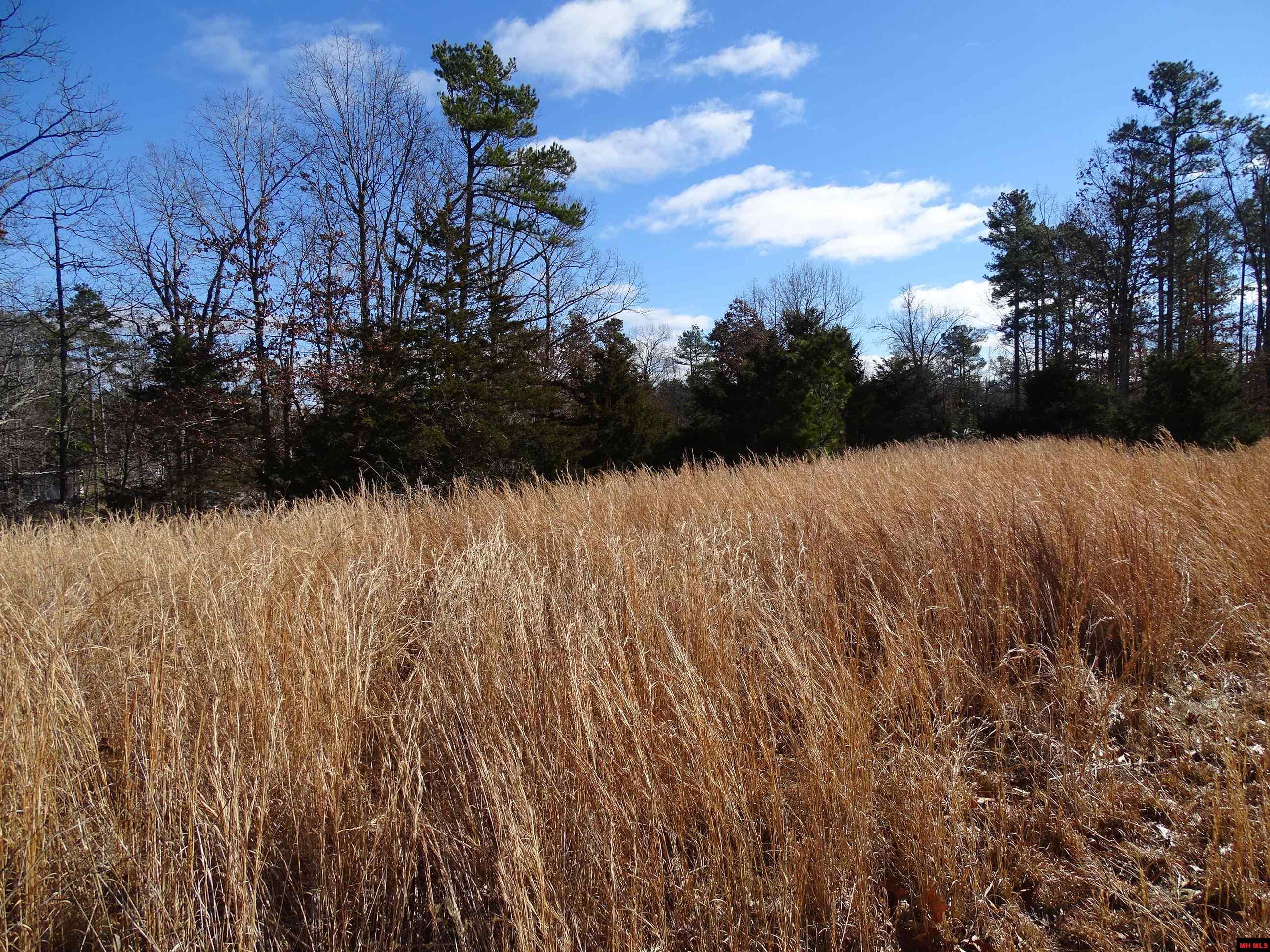 1071 & 1163 FEE HOLLOW TERRACE Yellville, AR 72687