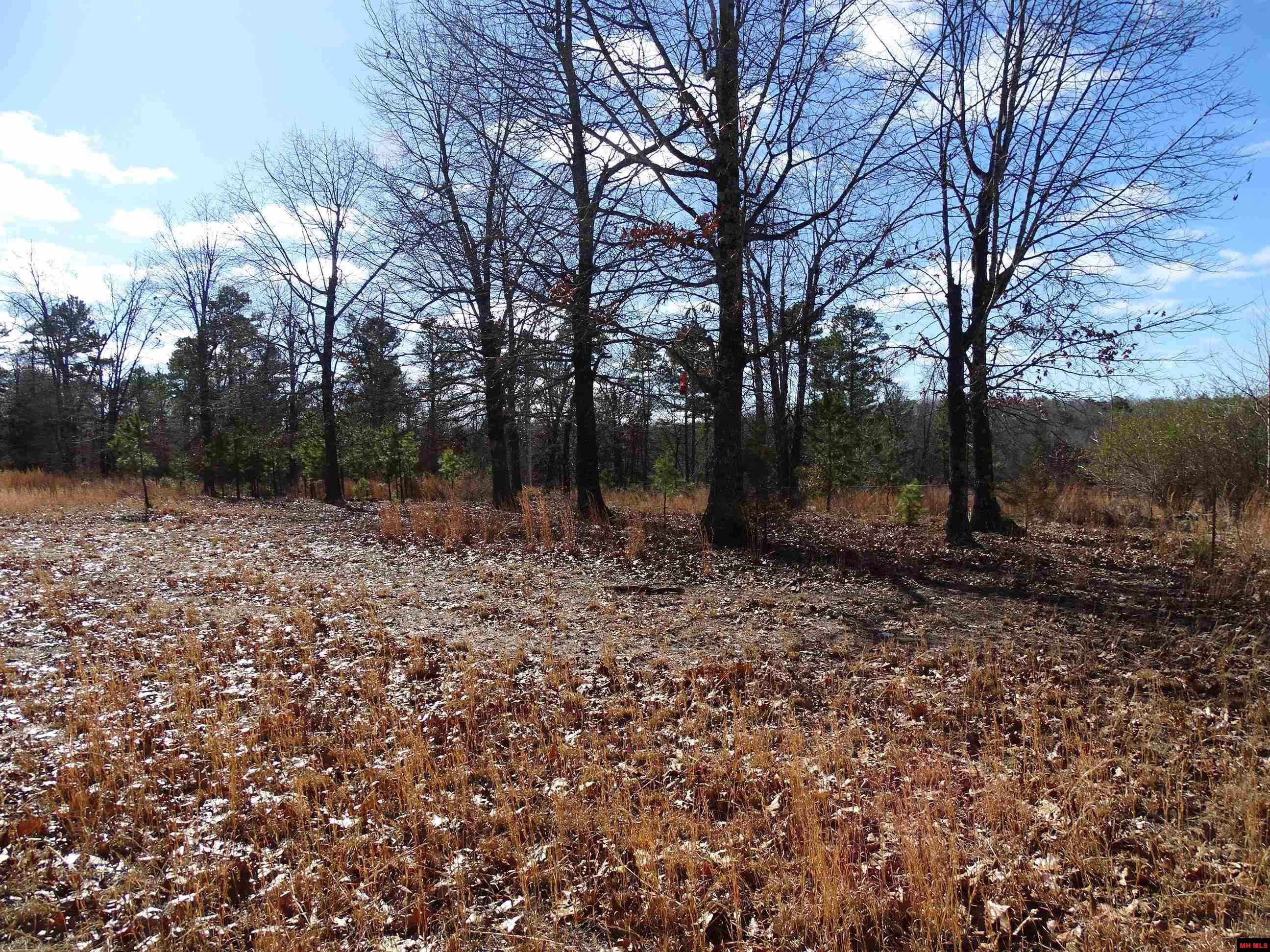 1071 & 1163 FEE HOLLOW TERRACE Yellville, AR 72687