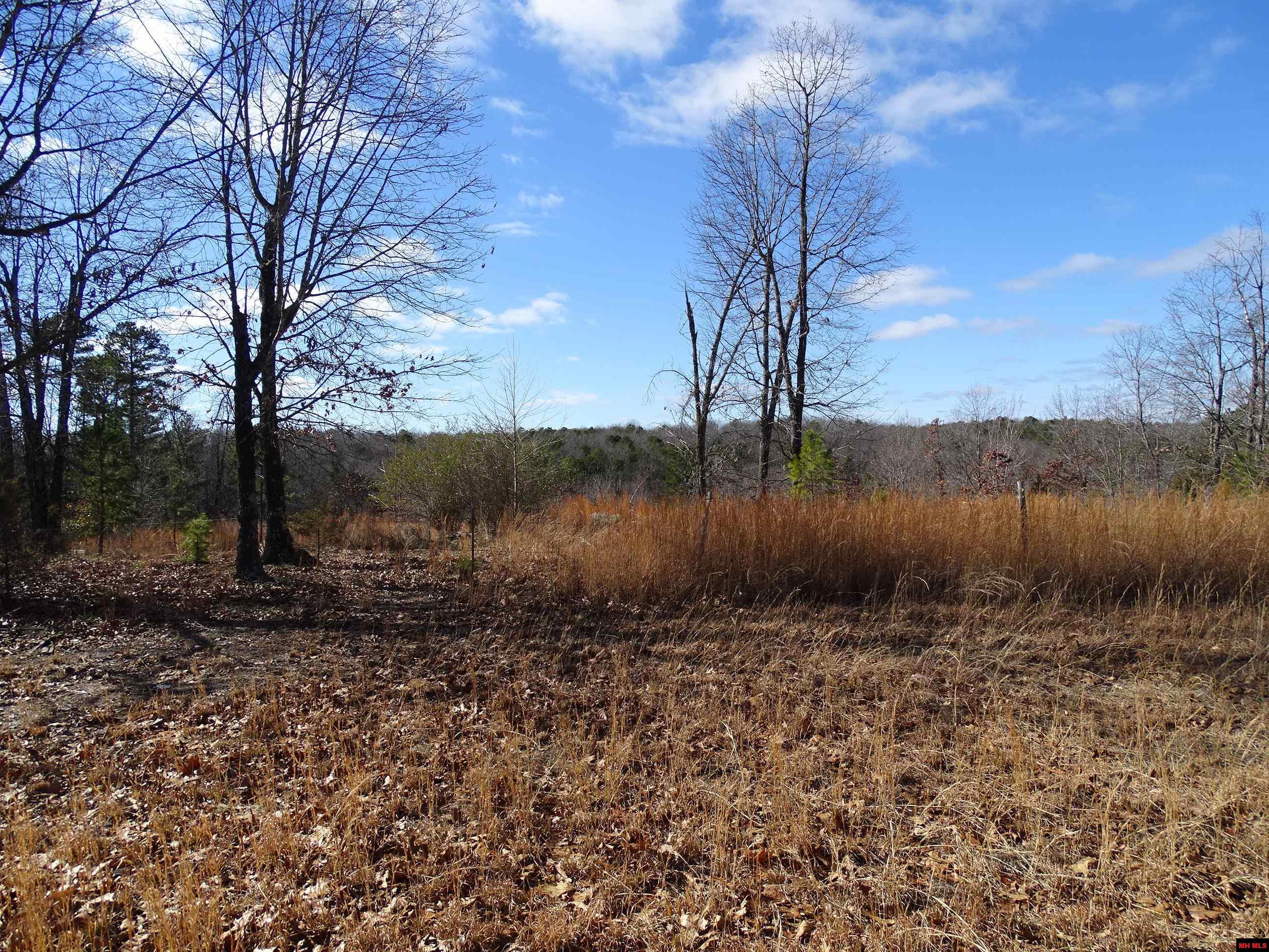 1071 & 1163 FEE HOLLOW TERRACE Yellville, AR 72687