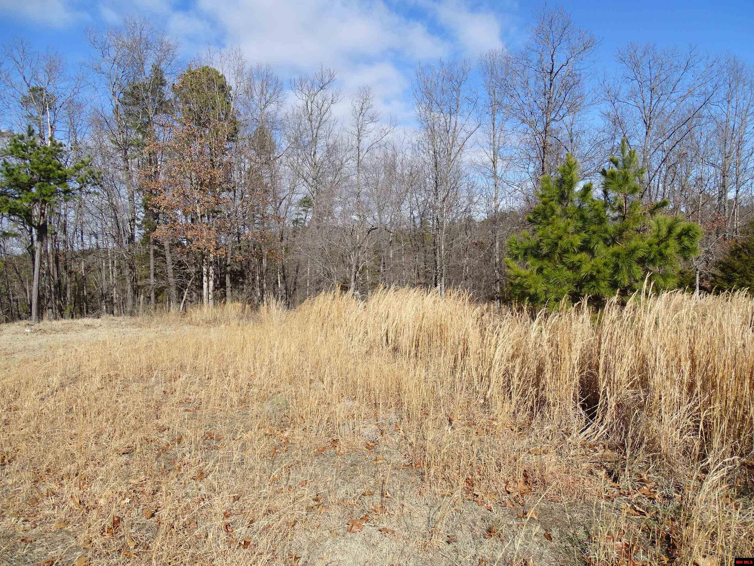 1071 & 1163 FEE HOLLOW TERRACE Yellville, AR 72687