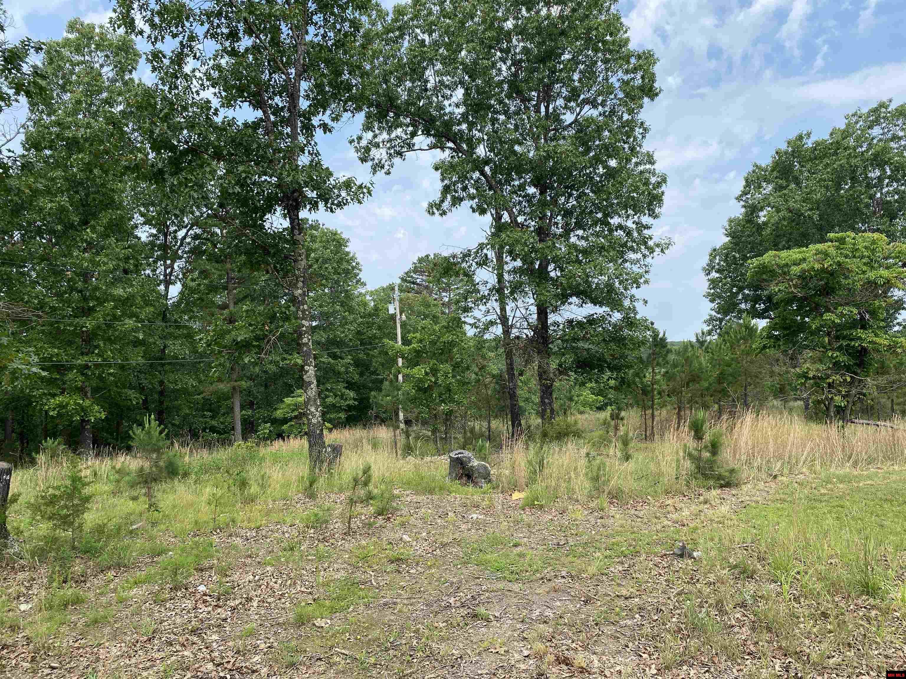 1071 & 1163 FEE HOLLOW TERRACE Yellville, AR 72687