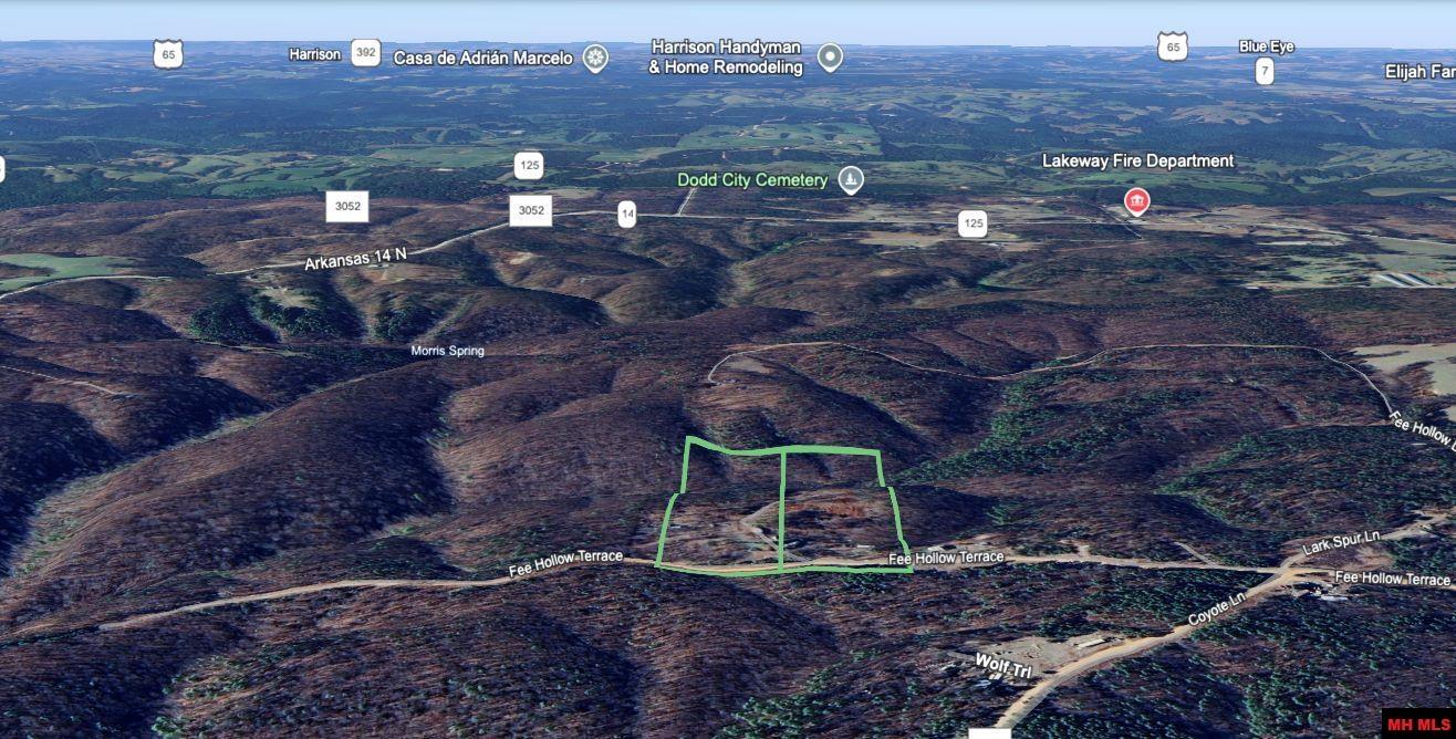 1071 & 1163 FEE HOLLOW TERRACE Yellville, AR 72687