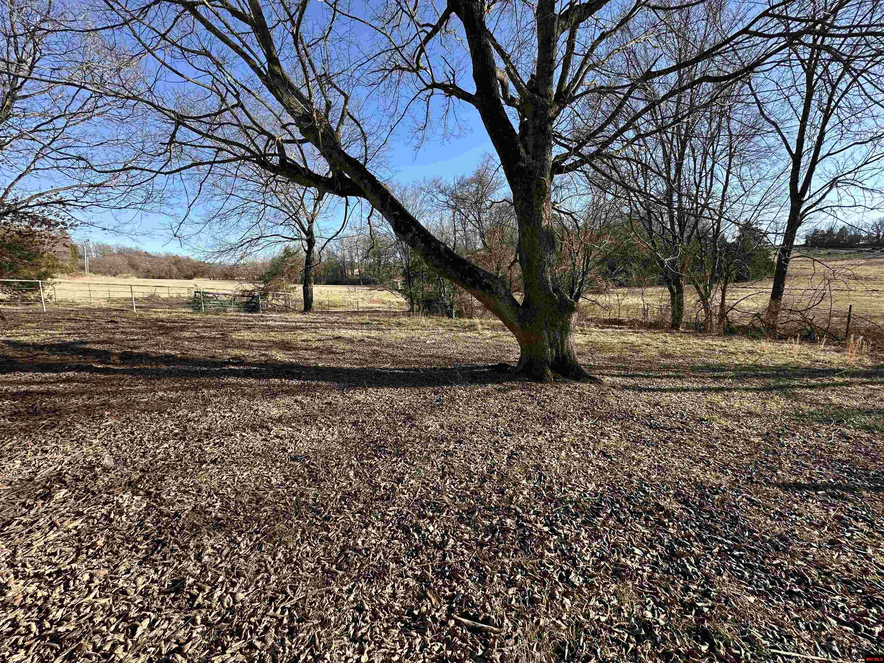 3664 MC 5040 Yellville, AR