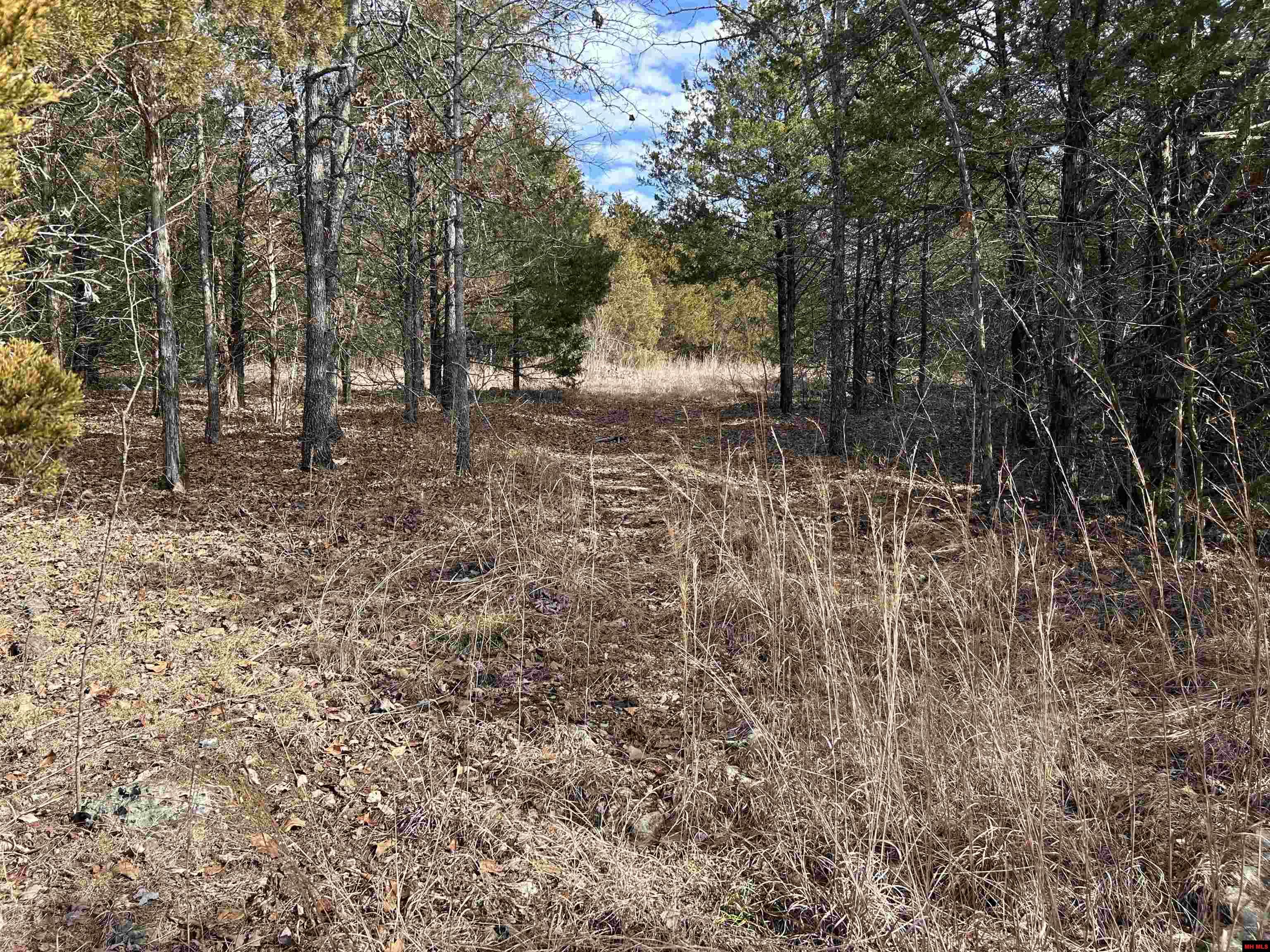 1422 MC 2059 Yellville, AR 72687