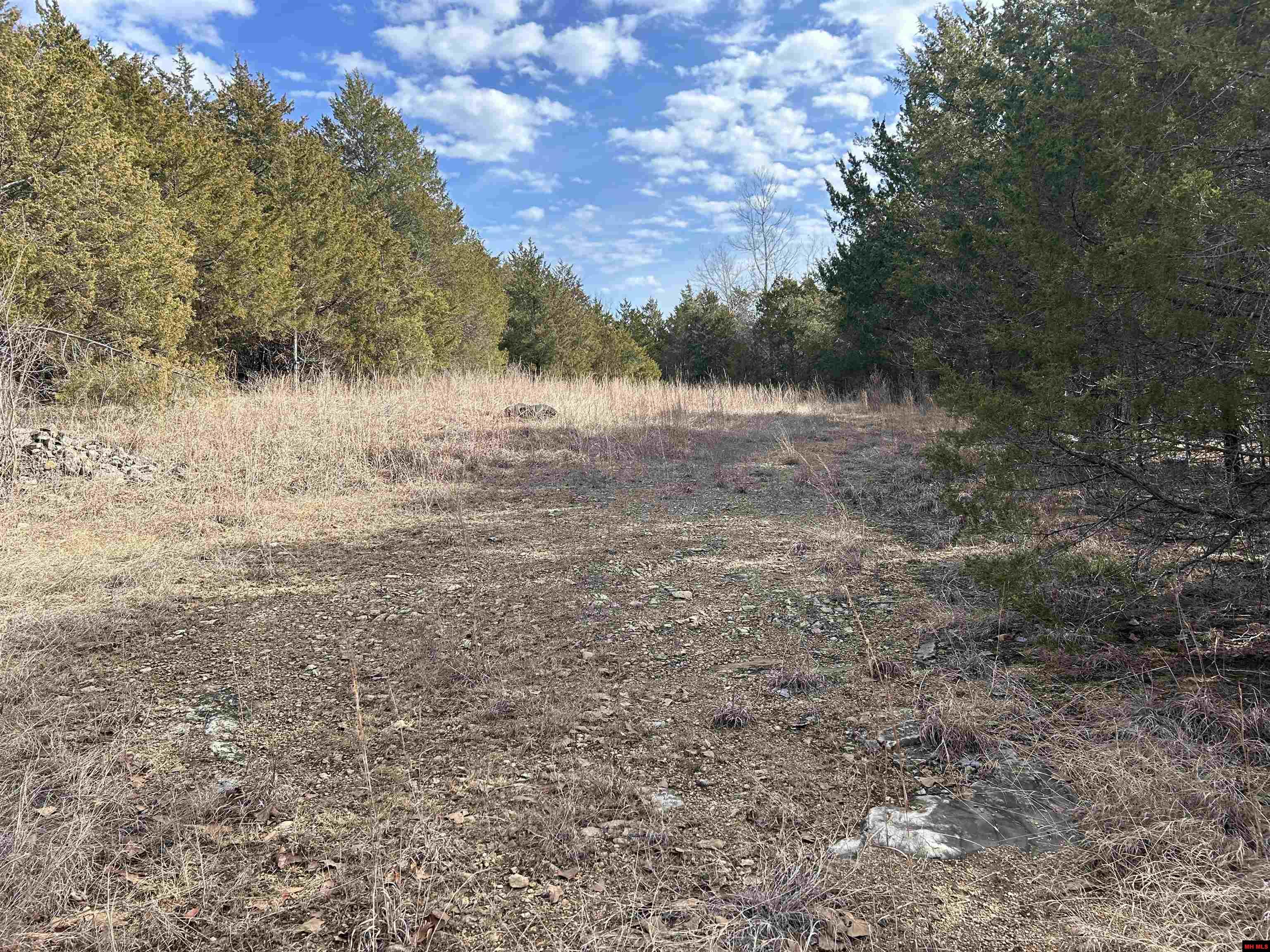 1422 MC 2059 Yellville, AR 72687