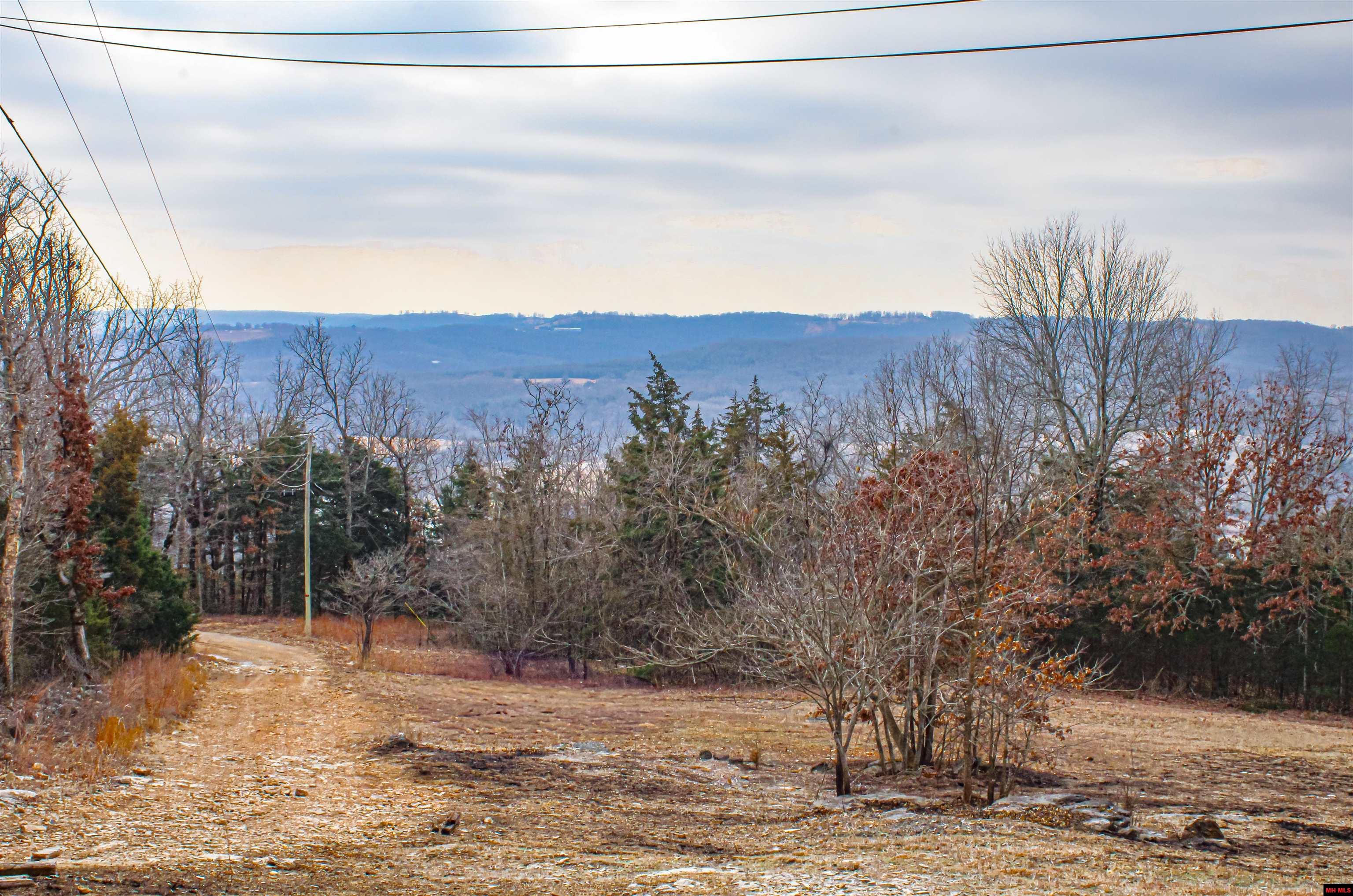 259 MC 3063 Yellville, AR 72687