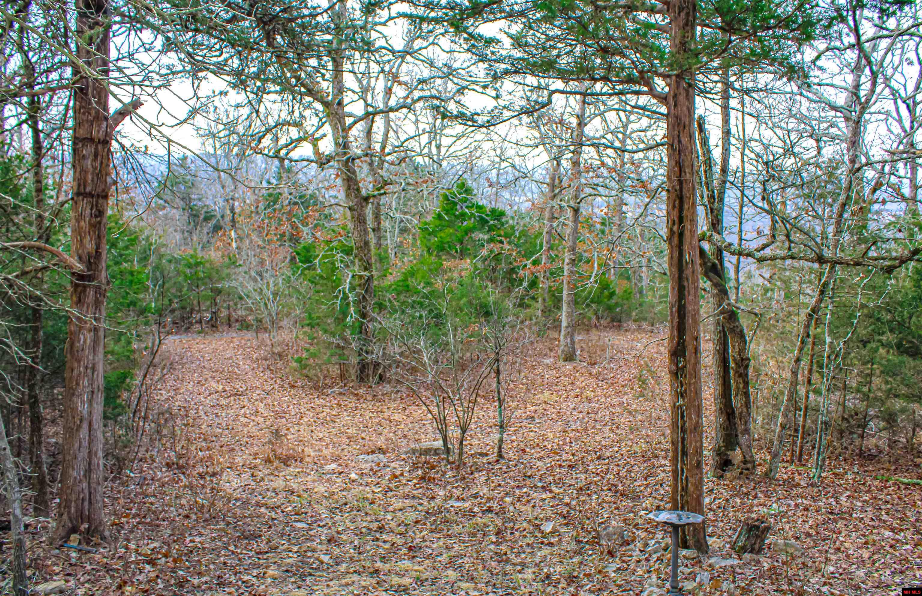 259 MC 3063 Yellville, AR 72687