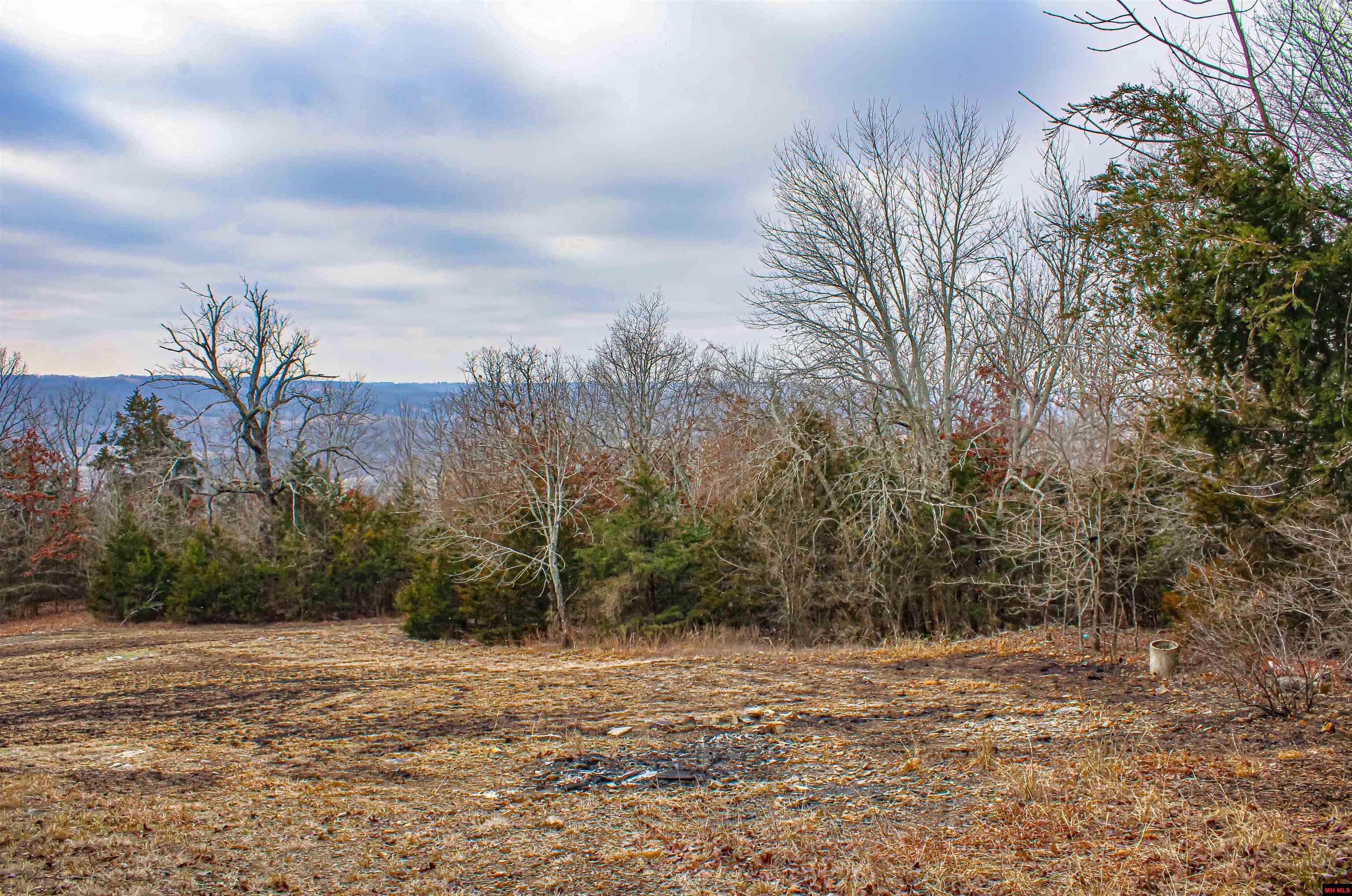 259 MC 3063 Yellville, AR 72687