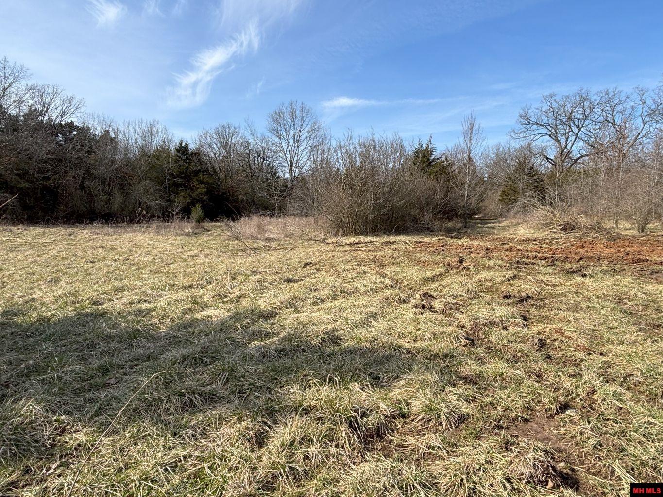 7254 LaCROSSE ROAD Violet Hill, AR