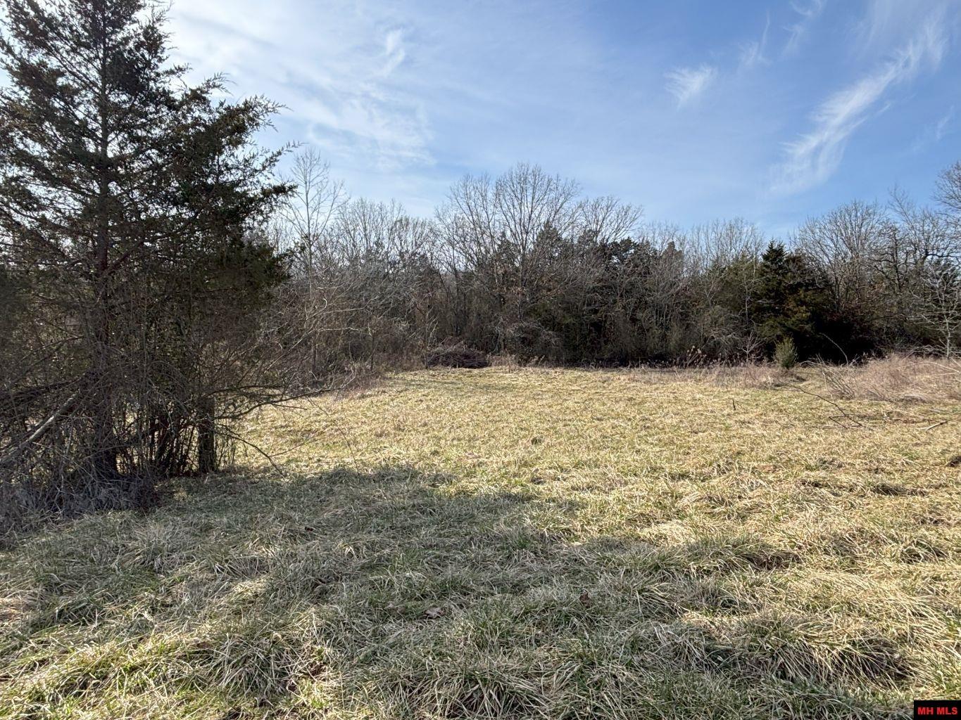 7254 LaCROSSE ROAD Violet Hill, AR