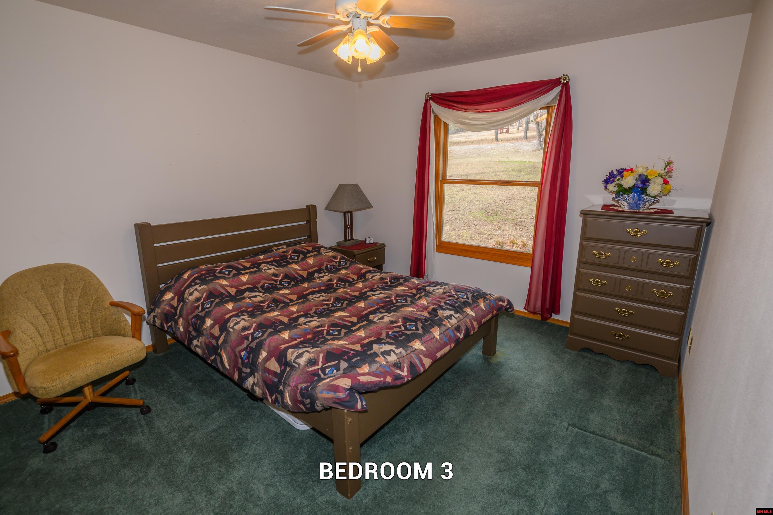 719 LEATHERSTOCKING TRAIL Mountain Home, AR