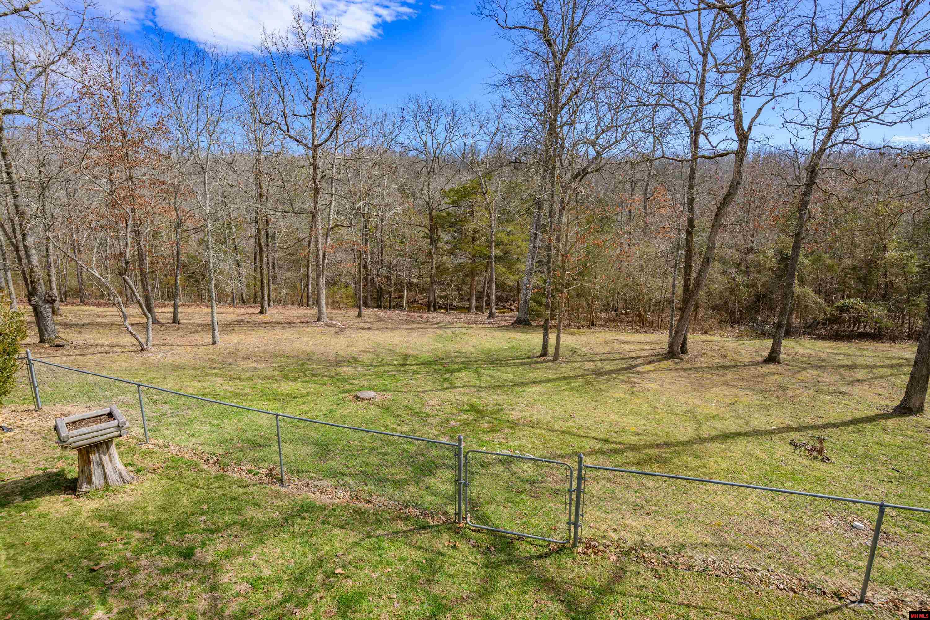 719 LEATHERSTOCKING TRAIL Mountain Home, AR