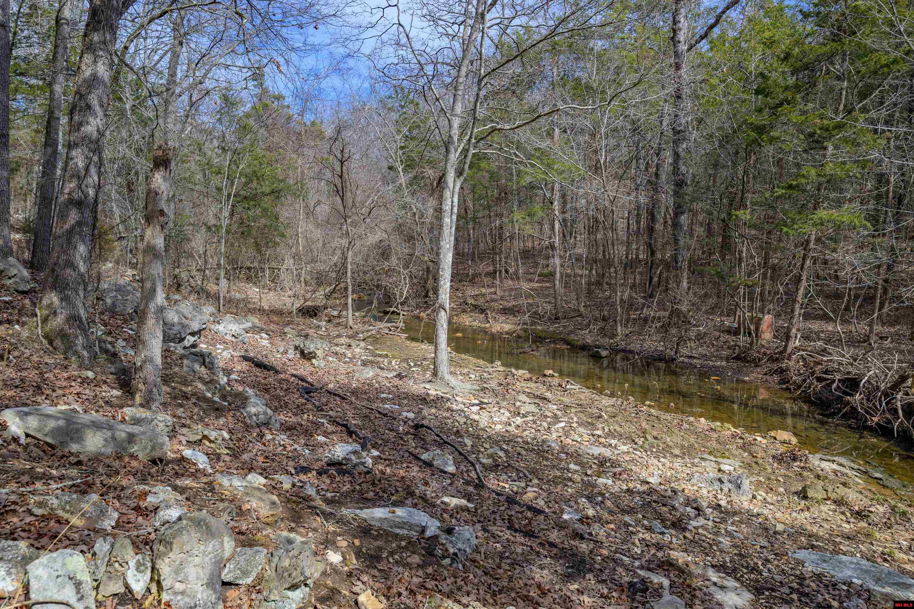 719 LEATHERSTOCKING TRAIL Mountain Home, AR