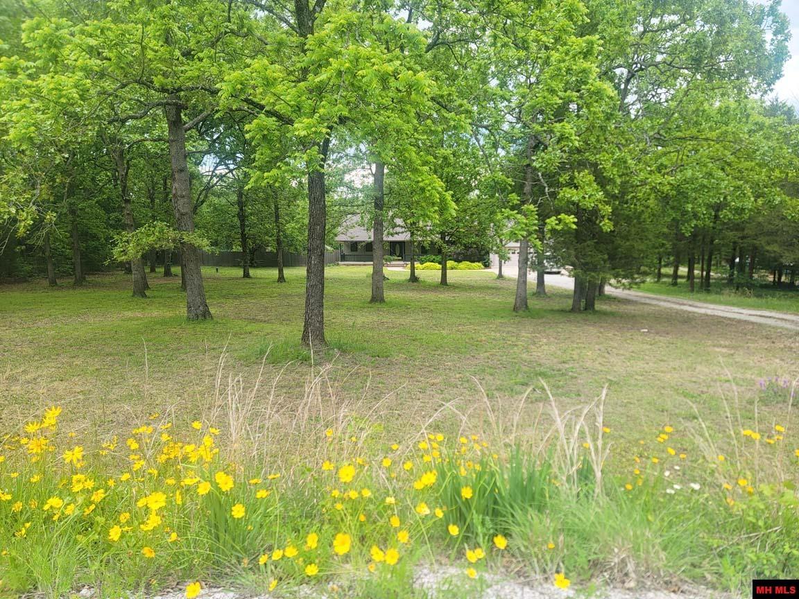 1395 BLUE WING ROAD Mountain Home, AR