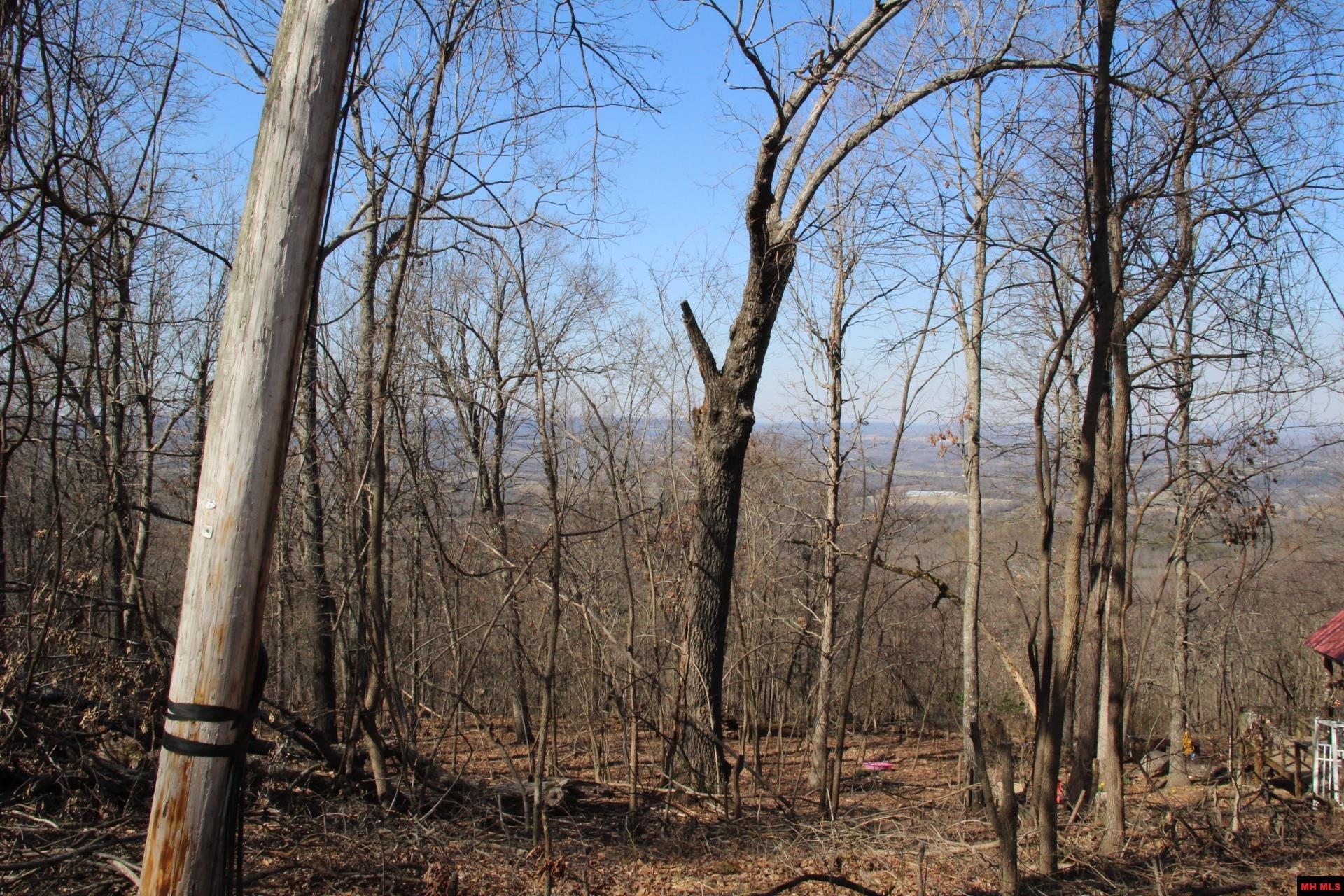 332 LONGWAY DRIVE Yellville, AR