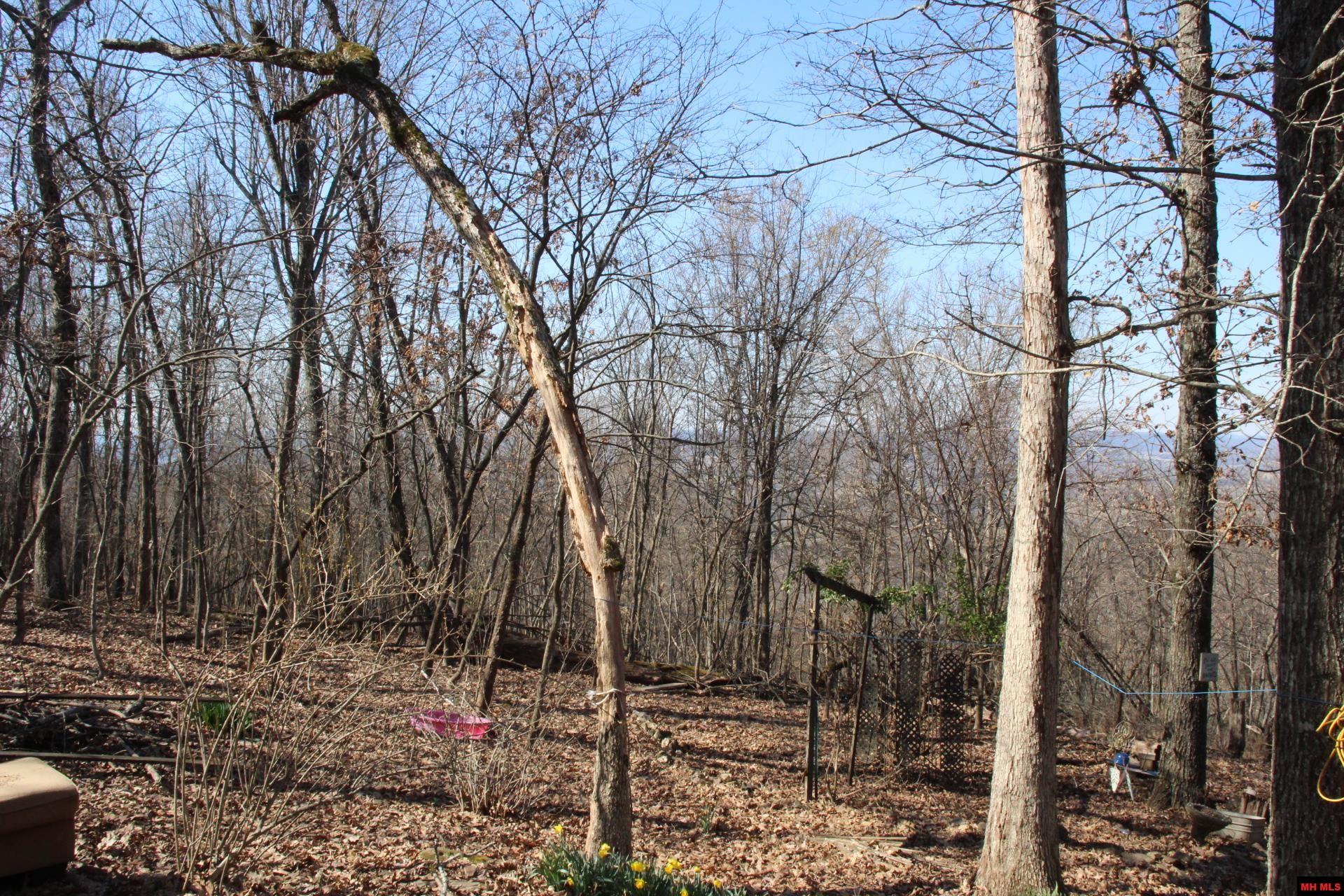 332 LONGWAY DRIVE Yellville, AR