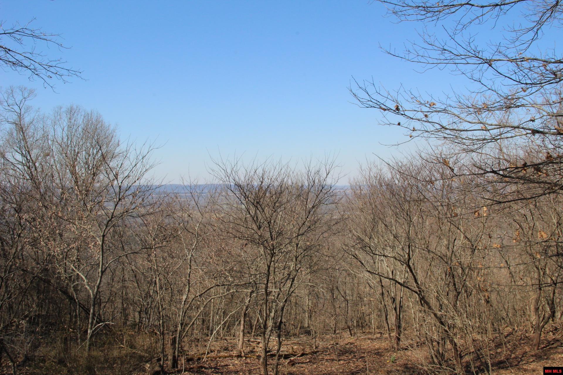 332 LONGWAY DRIVE Yellville, AR