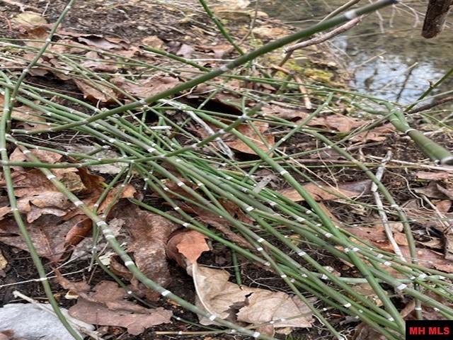 001-05015-000 Mackenzi Ridge Lane