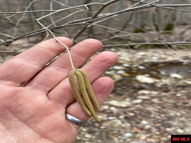 001-05015-000 Mackenzi Ridge Lane