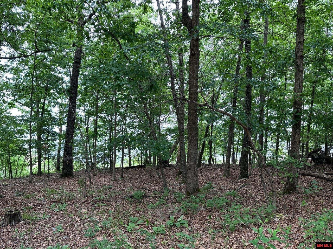 109 EDGEHILL PLACE Bull Shoals, AR 72619