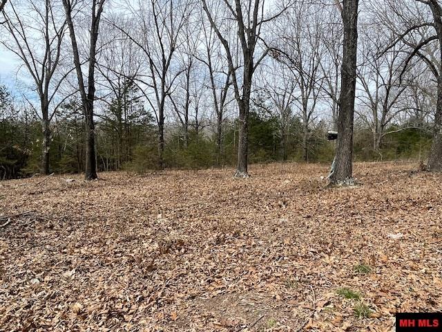 1628 CR 39 Mountain Home, AR 72653