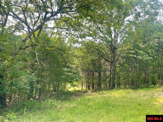 1628 CR 39 Mountain Home, AR 72653