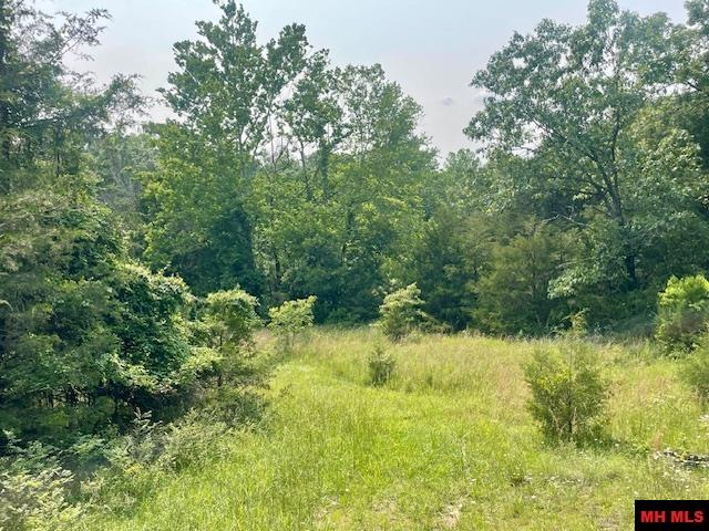 1628 CR 39 Mountain Home, AR 72653