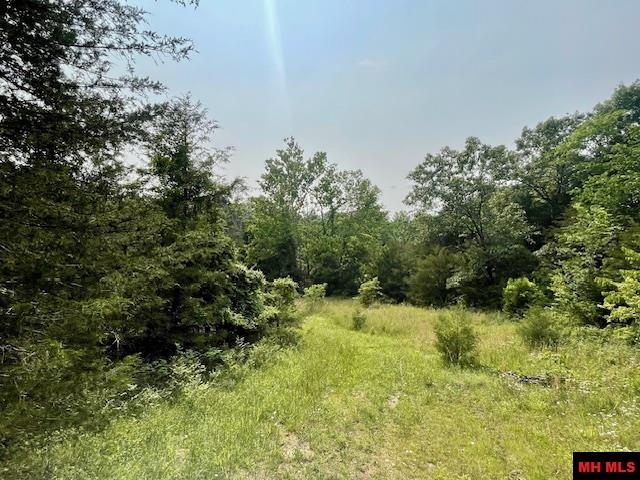 1628 CR 39 Mountain Home, AR 72653