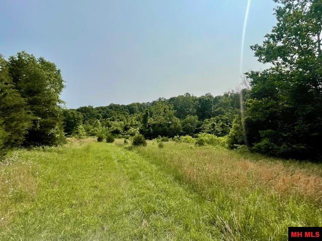 1628 CR 39 Mountain Home, AR 72653