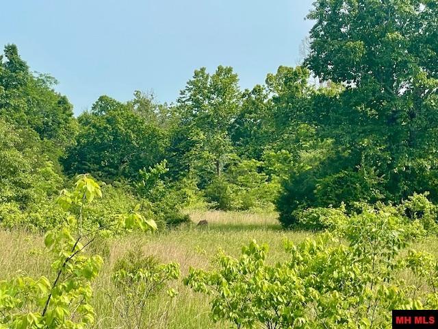 1628 CR 39 Mountain Home, AR 72653