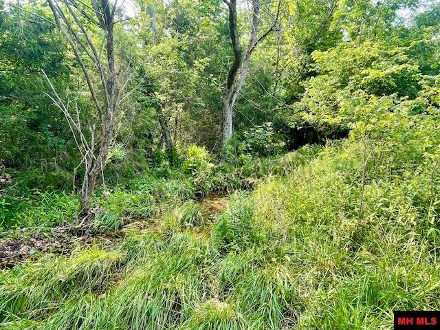 1628 CR 39 Mountain Home, AR 72653